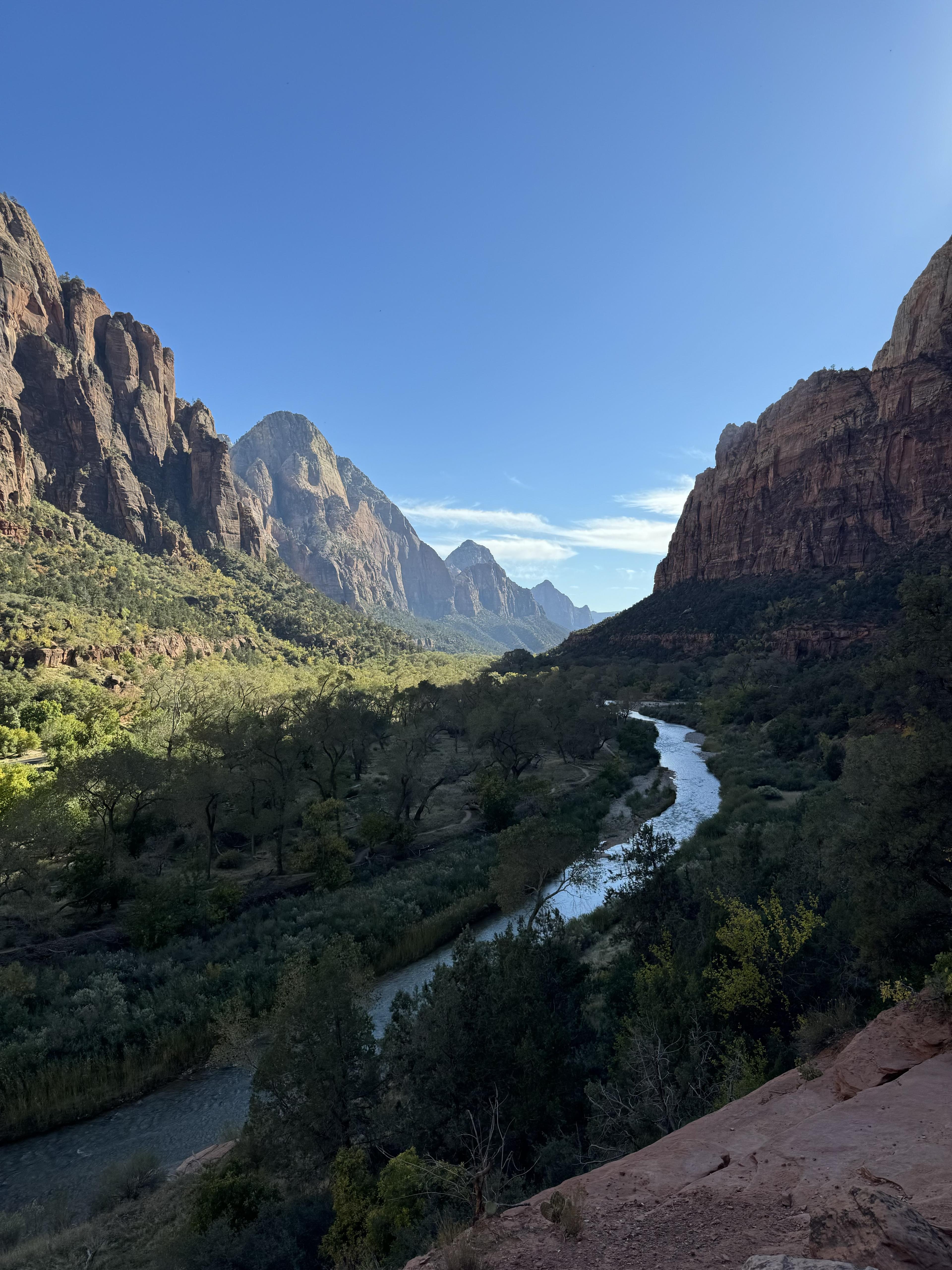 View from within Zion National Park